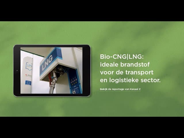 Video placeholder